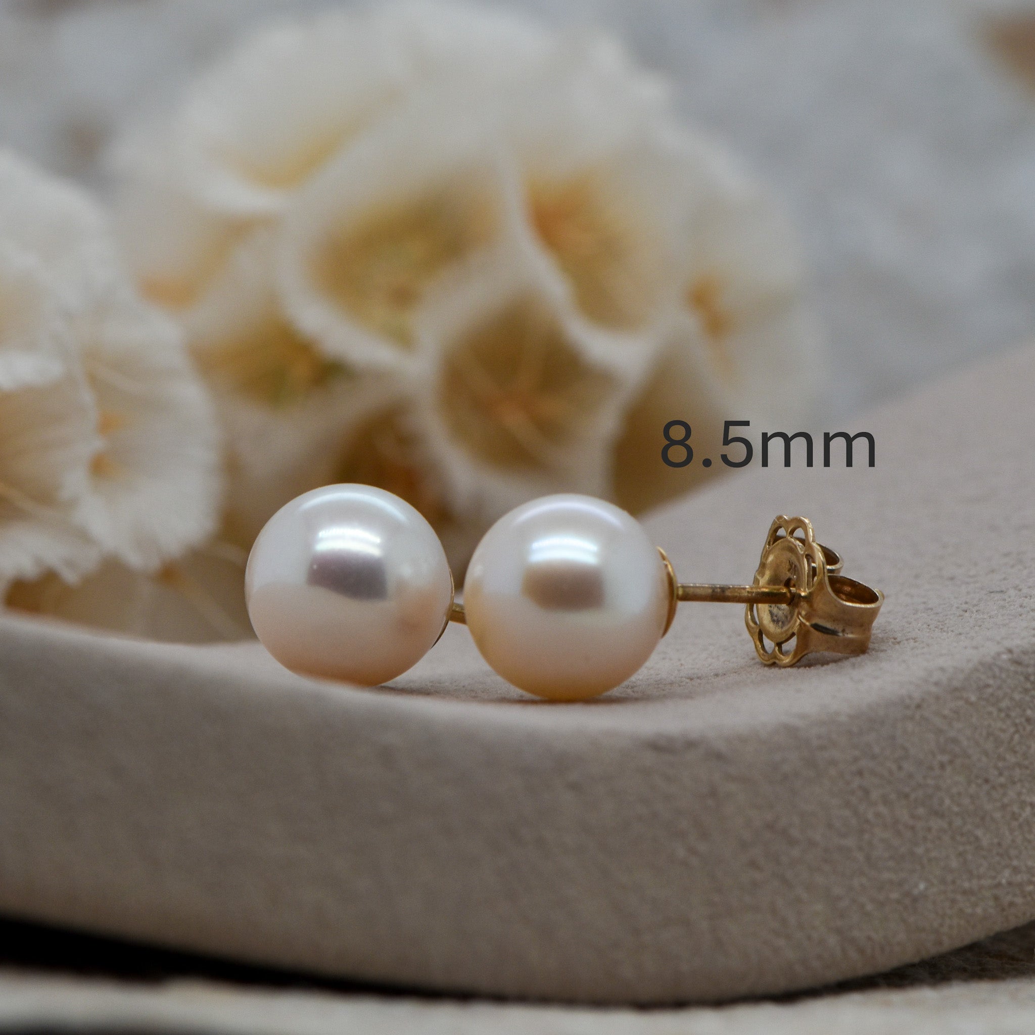 Fresh Water Pearl Studs - 9ct Gold