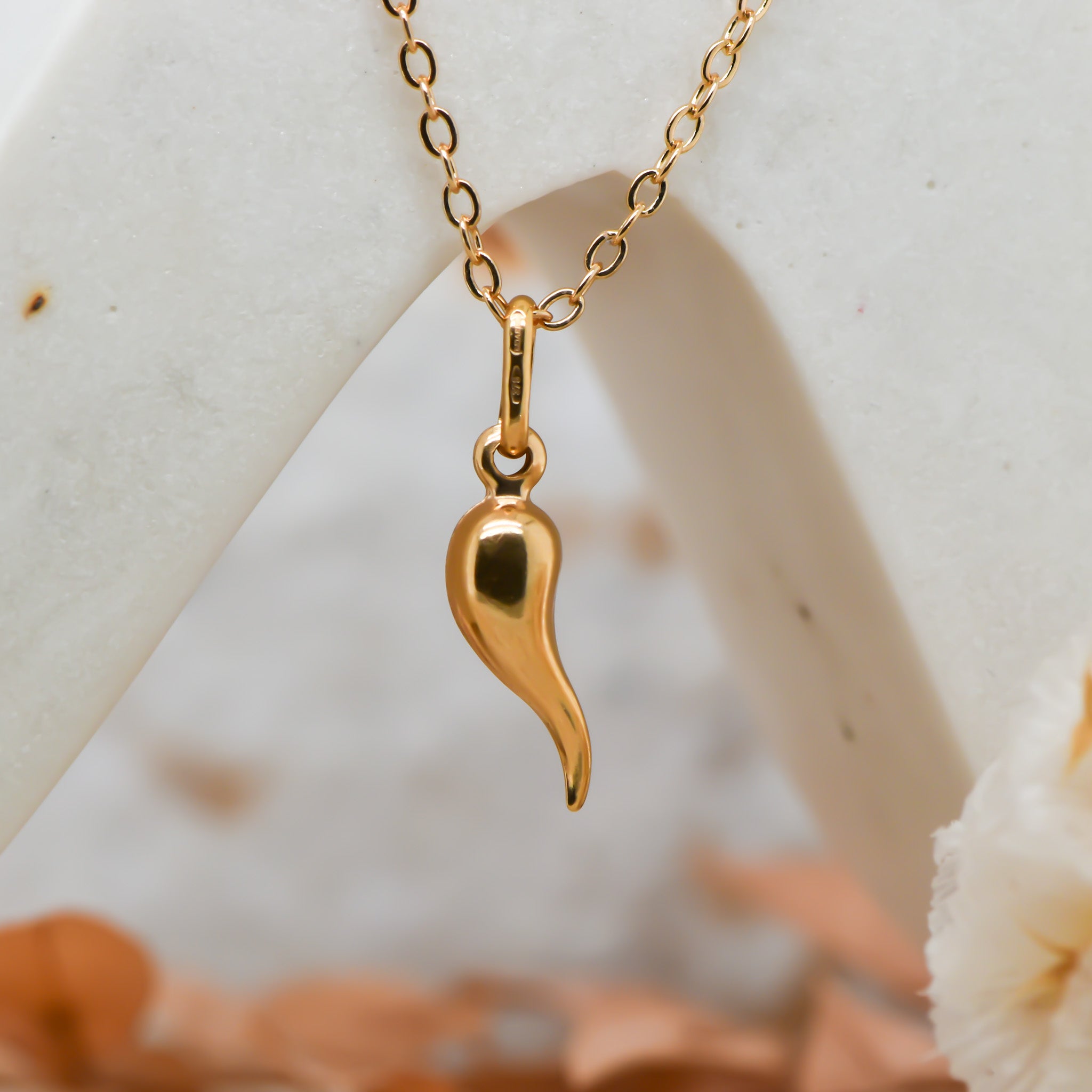 Small 9ct Corni Pendant (Chilli Charm)