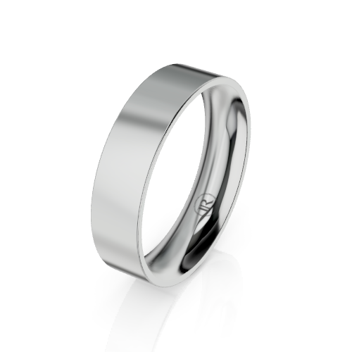 A polished silver-toned metal band ring, likely titanium or steel, shown at an angle on a clean white background with a soft reflection underneath.