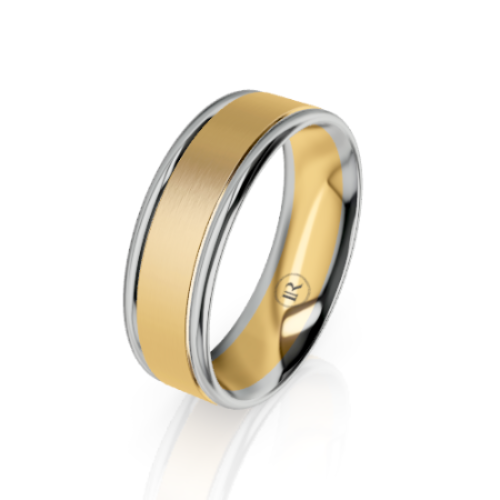 A two-tone metal band ring with a brushed gold center and polished silver-colored borders, shown on a clean white background with a soft reflection.
