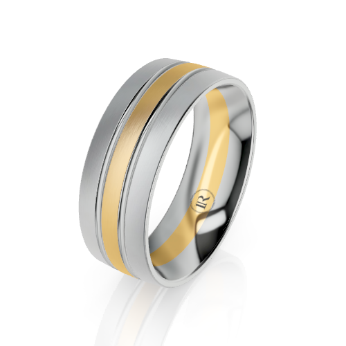 A two-tone metal band ring with a polished silver outer edge and a central brushed gold inlay, shown on a clean white background with a soft reflection.